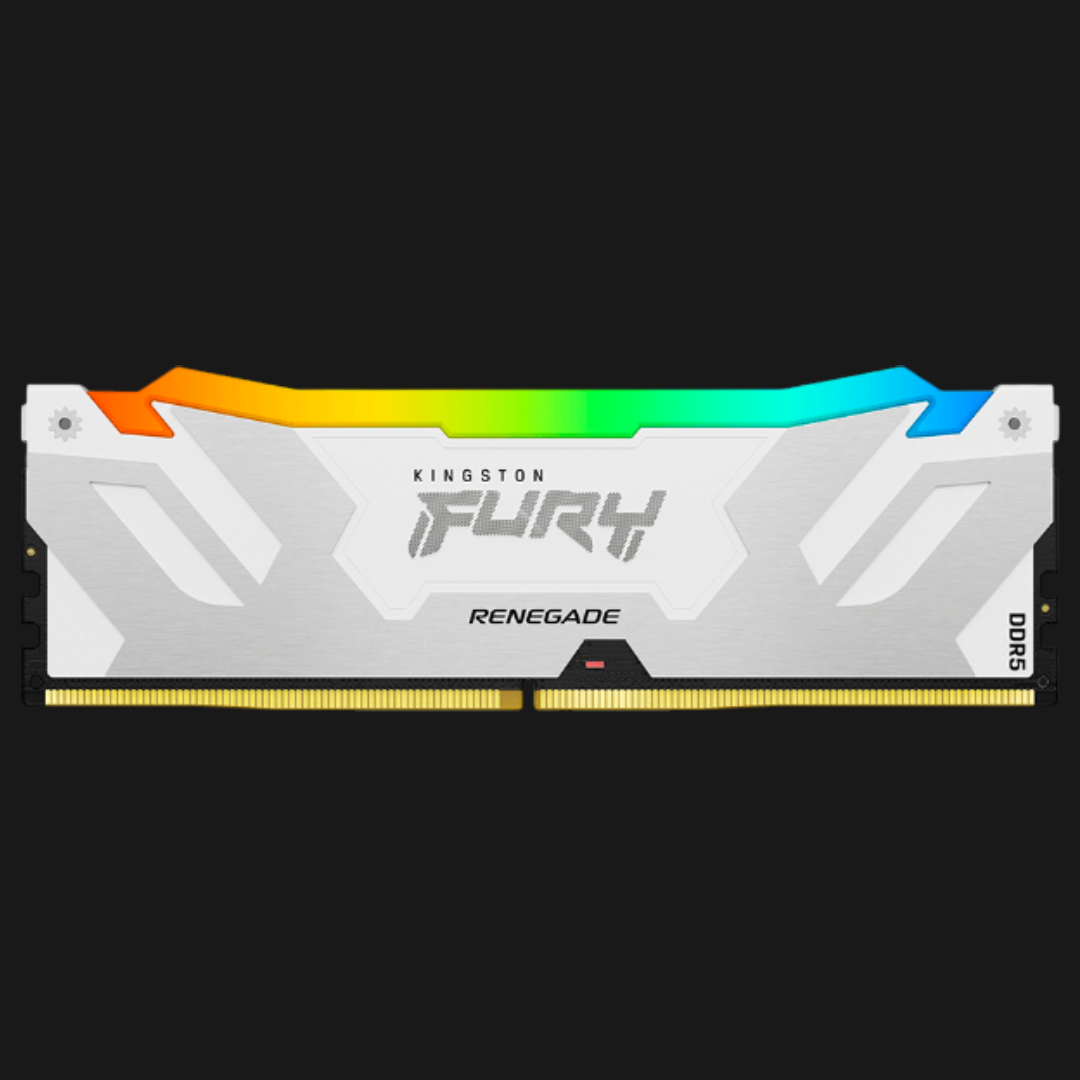 Proyecto-nuevo-2.png